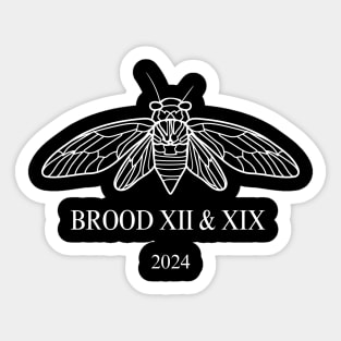 Cicada Brood XIII Brood XIX 2024 Sticker